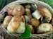 рецепты с грибами